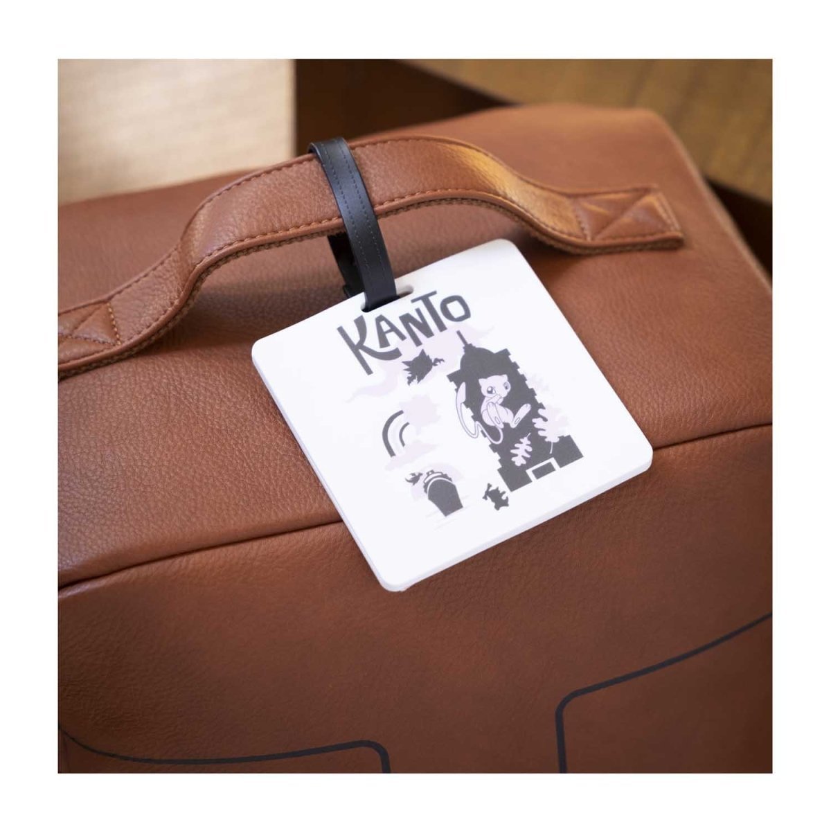 Generation 1 and 2 Kanto Johto Pokémon Totals Final Numbers